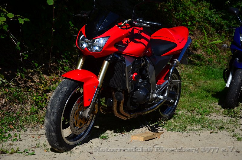 Schwarzwald 2021 - 051